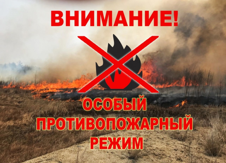 Особый противопожарный режим установлен в Томской области с 3 по 31 июля. Особый противопожарный режим установлен в Томской области с 3 по 31 июля.